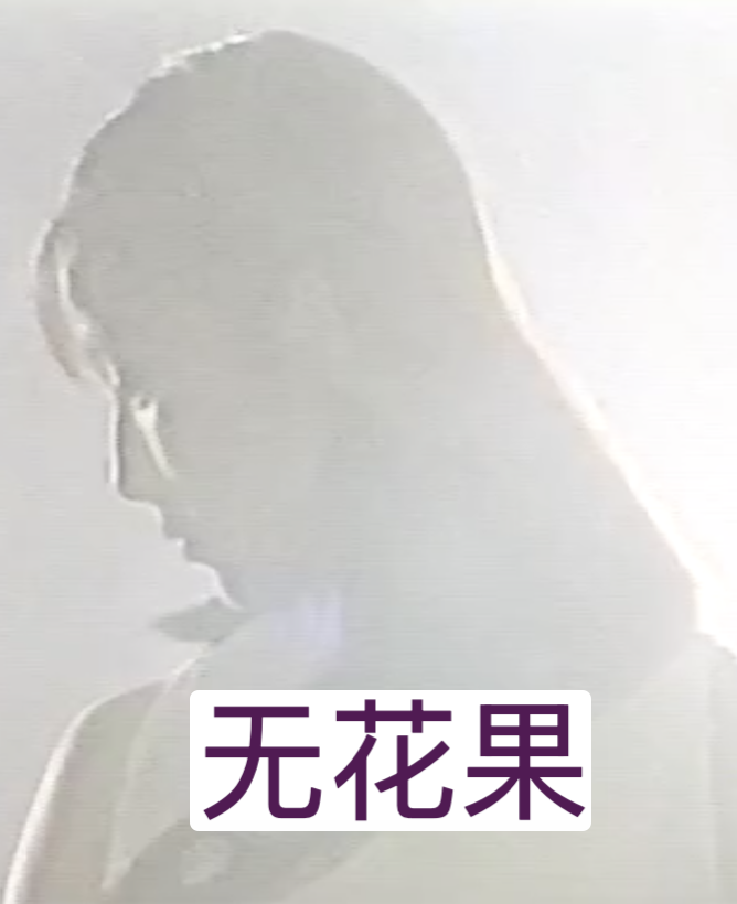 无花果(1996)